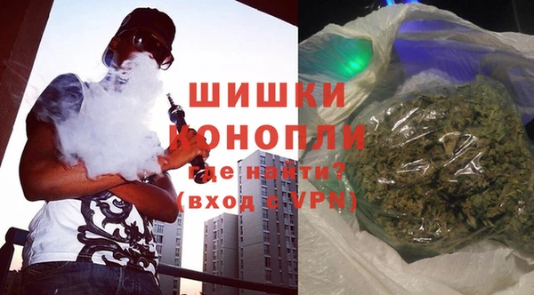 крисы Богородицк
